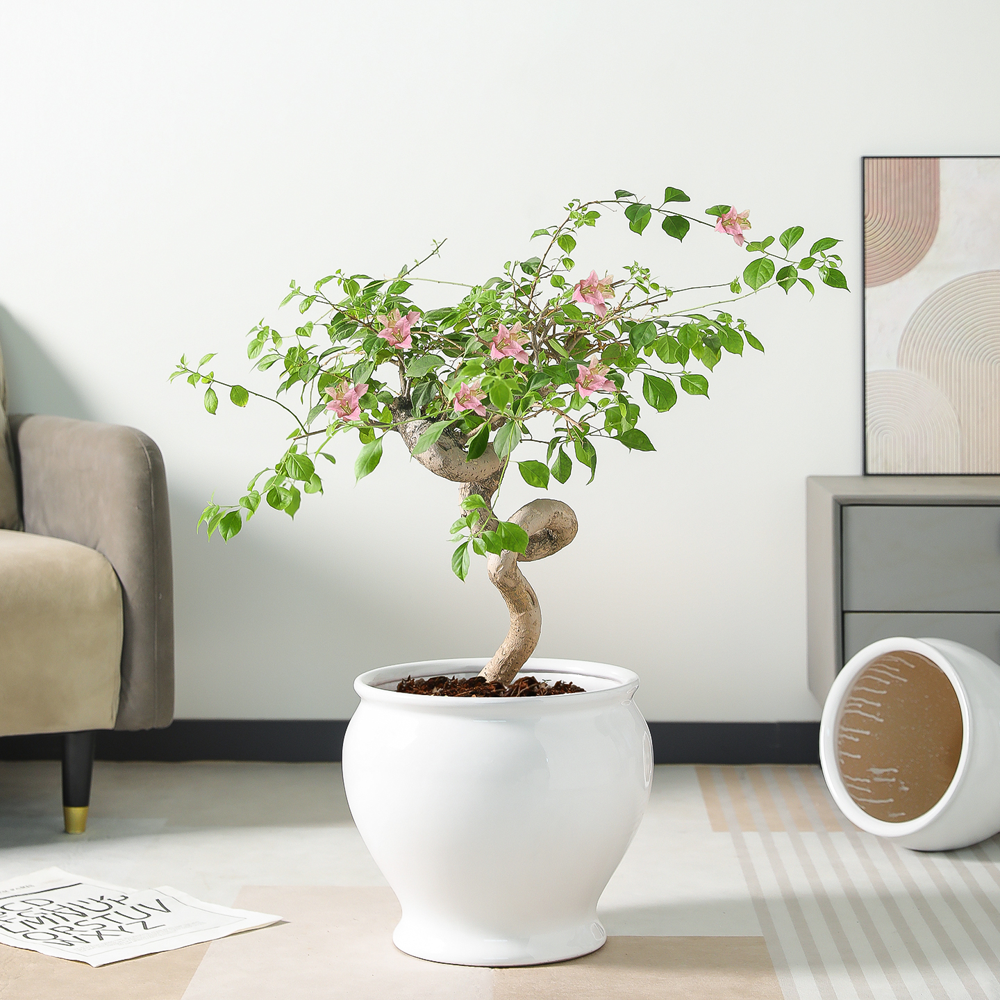 陶瓷花盆大口径白色高级简约落地