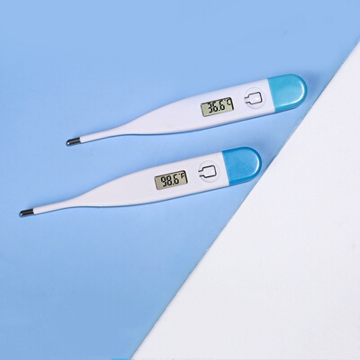 ElectricDigaLcdThmoFH