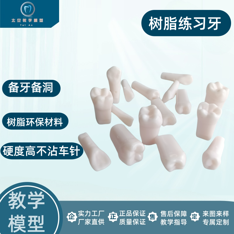 牙科口腔考试练习牙备牙练习牙