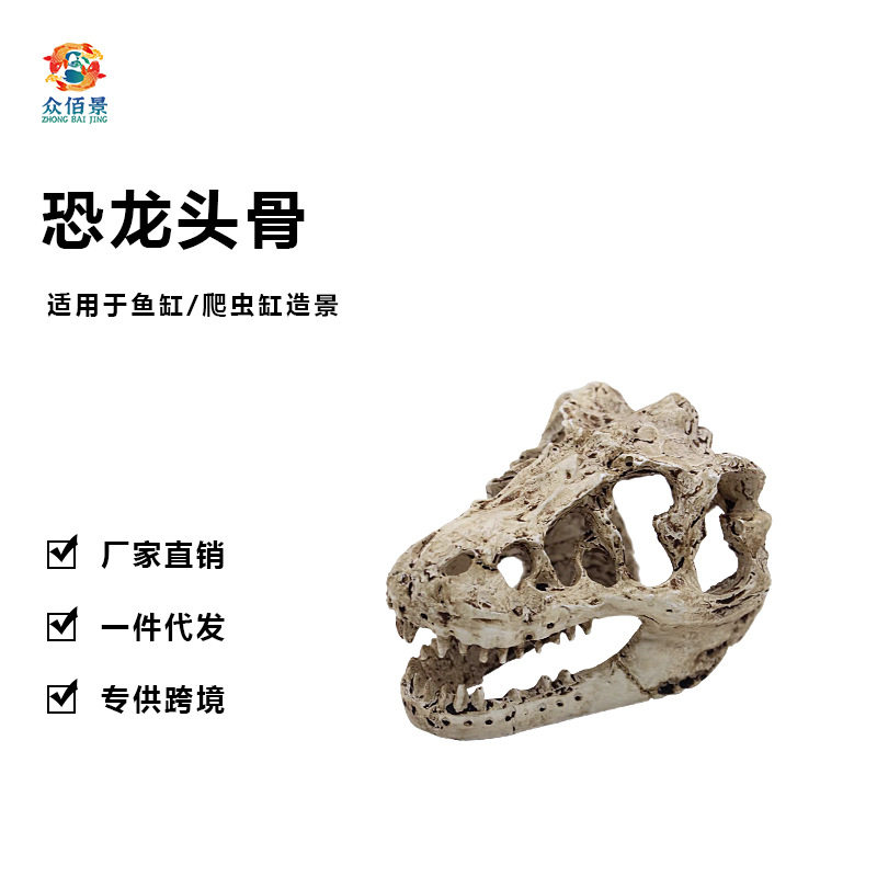 树脂恐龙头骨躲避屋爬宠爬虫造景鱼缸水族箱装饰摆件盆景沙盘躲藏