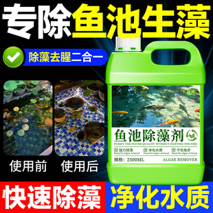 室外鱼池鱼缸绿藻绿水清除剂青苔去苔剂水藻褐藻浮萍专用除藻剂