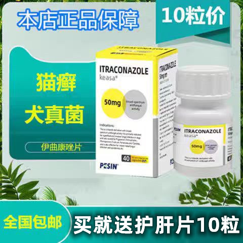 凯瑟斯伊曲康唑口服片猫咪狗狗真菌细菌猫藓皮肤病宠物螨虫真菌