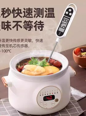 【食物温度计】食品级测量食品温度计厨房烘焙水温油温测量仪精准