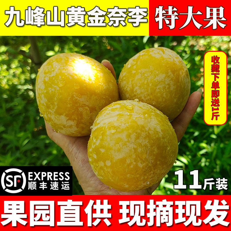 顺丰包邮正宗乐昌九峰山黄金奈李子新鲜水果蜂蜜李爽口脆甜6斤装