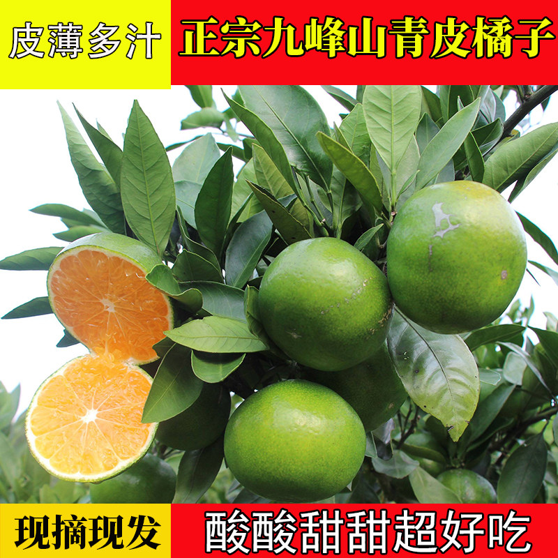 正宗乐昌九峰山青皮橘子新鲜现摘当季水果酸酸甜甜皮薄超好吃包邮