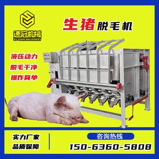猪脱毛机生猪母猪肥猪刨毛机器屠宰场杀猪设备全自动整猪褪毛拔毛