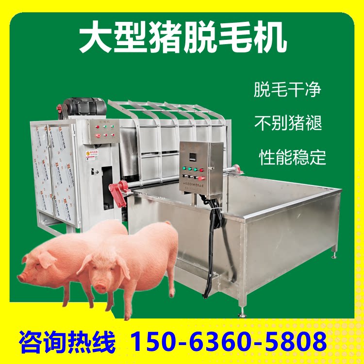 大型屠宰设备生猪母猪杀猪刨毛机全自动猪褪毛拔毛机器整猪去毛机