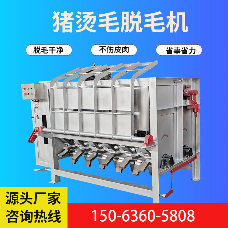 新款杀猪烫毛脱毛机屠宰场连续烫毛刨毛机器猪牛羊刨毛肥猪去毛机