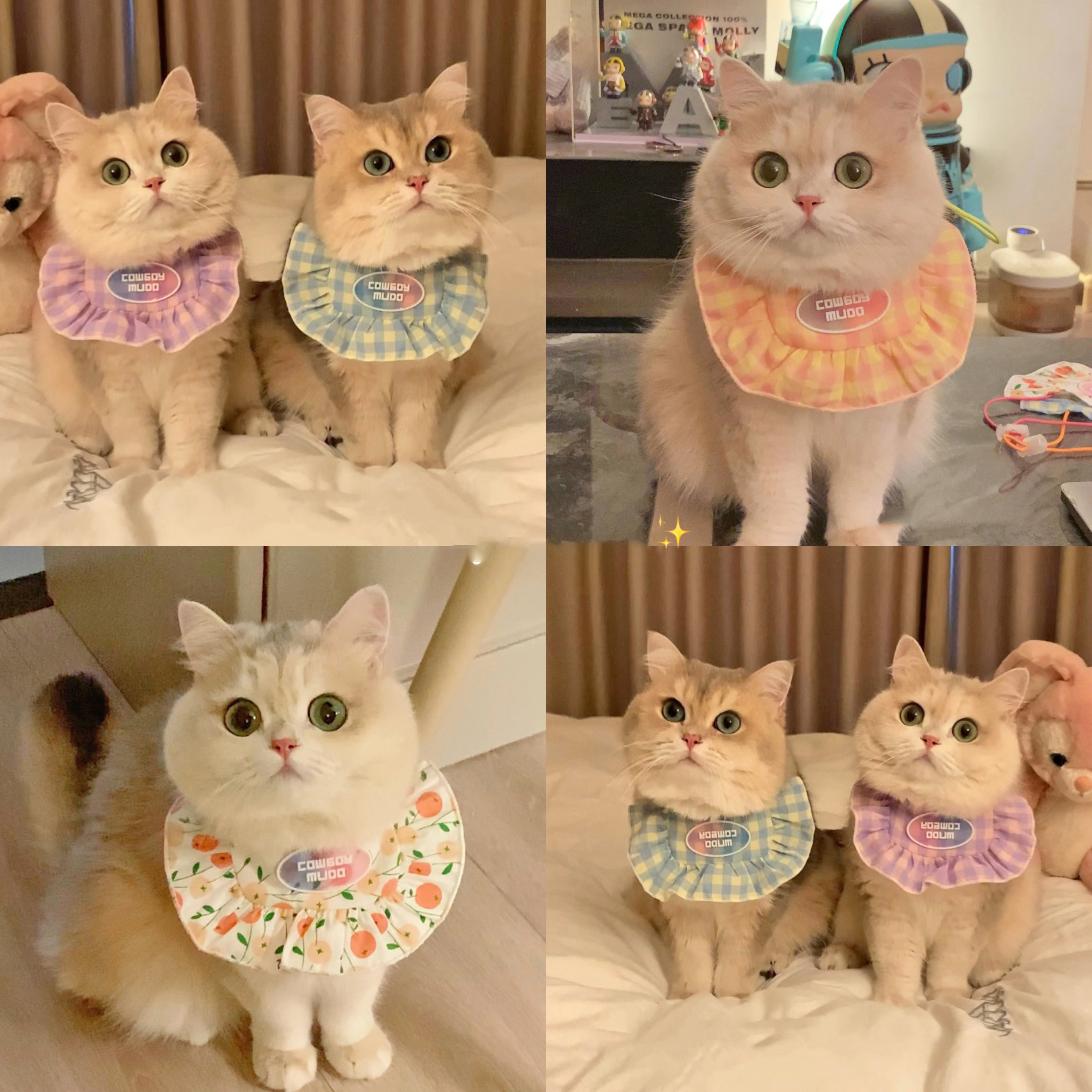 猫咪小口水巾围脖围兜外出户外高颜值小装扮小配饰舒适可爱小装饰