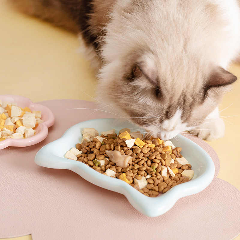 猫碗陶瓷猫食盆猫盘缅因碗罐头碗