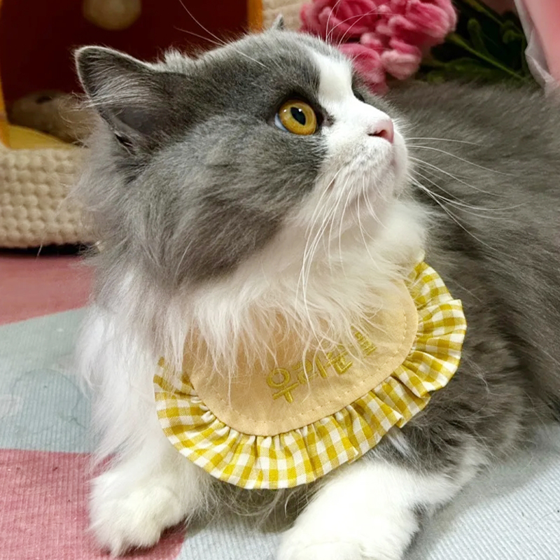 猫咪小口水巾围脖围兜高颜值外出户外小配饰金渐层银渐层可爱装扮