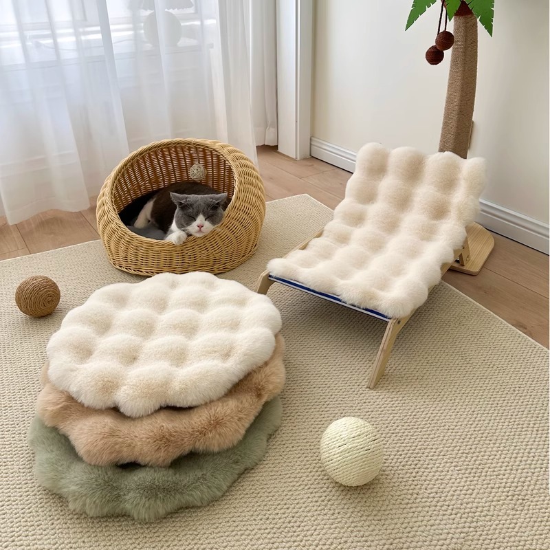 猫垫子四季通用睡觉用地垫外出户外高颜值宠物用品金渐层蓝猫橘猫