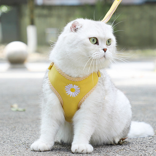 专用外出防挣脱溜猫链子牵引绳