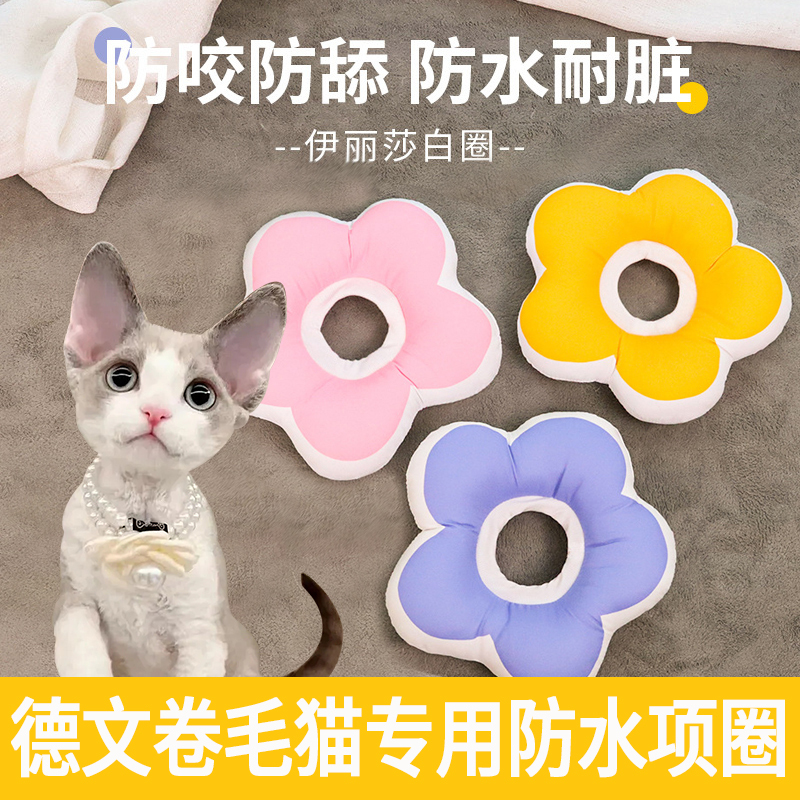 德文猫伊丽莎白圈不影响可吃饭猫咪项圈幼猫小猫猫用软防水羞耻圈