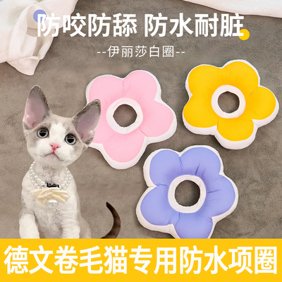德文猫伊丽莎白圈不影响可吃饭猫咪项圈幼猫小猫猫用软防水羞耻圈