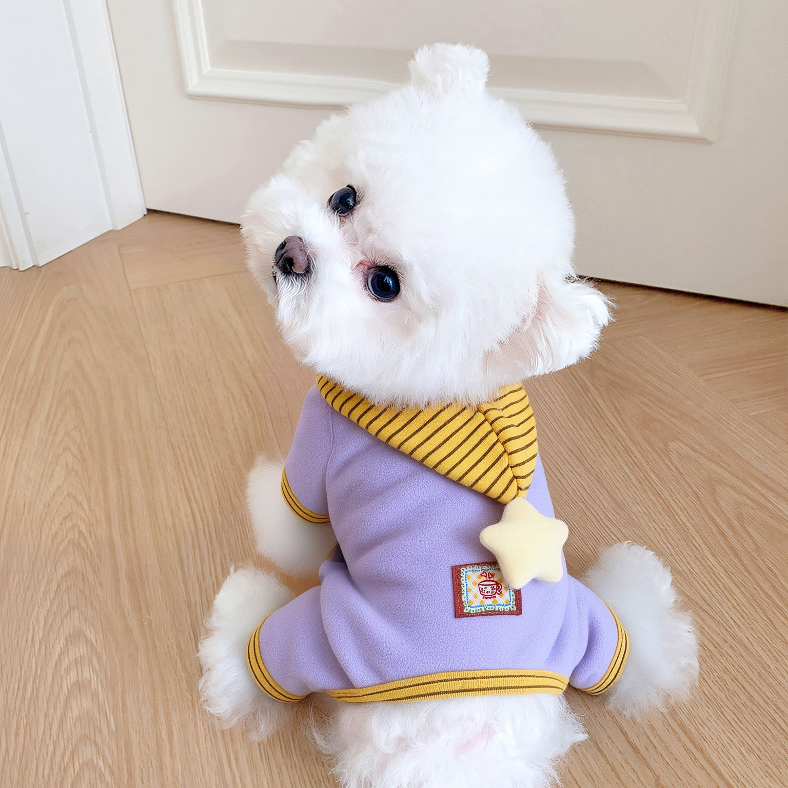 狗狗衣服防着凉比熊2026新款秋冬装泰迪四脚服装带帽保暖时尚潮酷