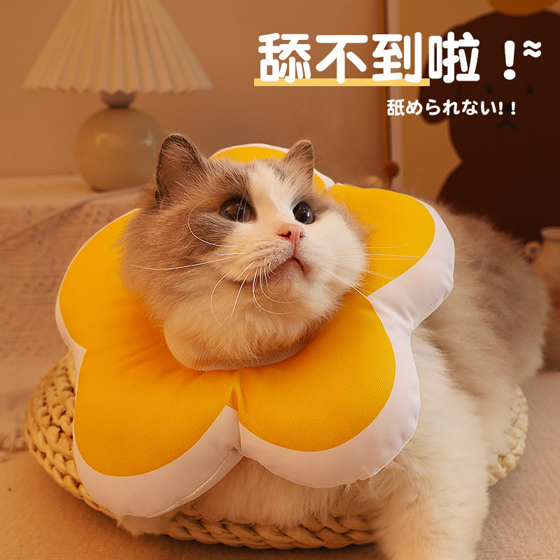 小猫伊丽莎白圈猫咪猫术后耻辱不影响可吃饭猫用猫脖套幼猫防挣脱,宠物/宠物食品及用品,宠物伊丽莎白圈,淘宝优惠券,粉丝福利购,淘宝优惠卷