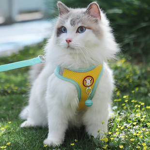 猫咪外出牵引绳工字型户外溜猫绳子防挣脱德文猫缅因猫宠物专用链