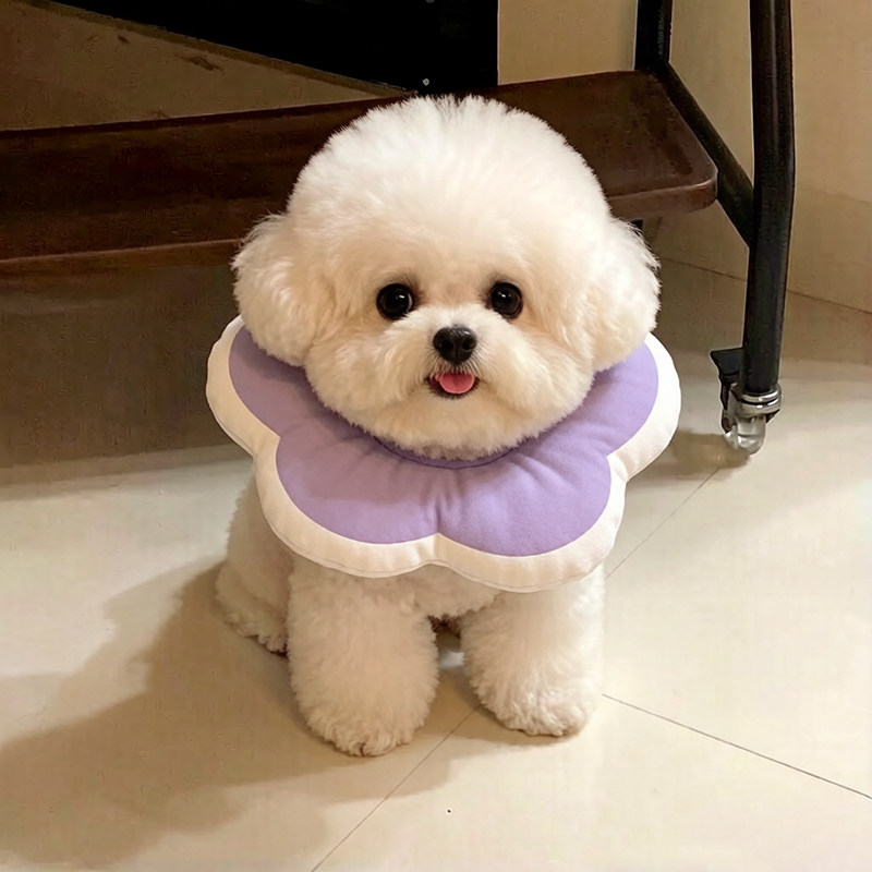 伊丽莎白圈狗小型犬狗狗专用头套比熊花朵造型可爱可吃饭软绝育圈