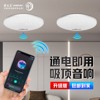CR-501吸顶喇叭吊顶蓝牙定阻同轴吸顶音响嵌入SICA（其他）