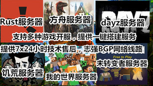 Steam饥荒rust 未转变者Unturned开服我的世界服务器 BGP三线网络