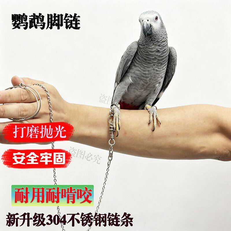 活口拴鸟链不锈钢鹦鹉脚链虎皮牡丹玄凤八哥鹩哥鸟站架开口脚环