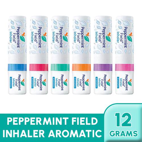 Peppermint Field Nasal Inhaler Aromatic 薄荷田鼻吸芳香剂 12g