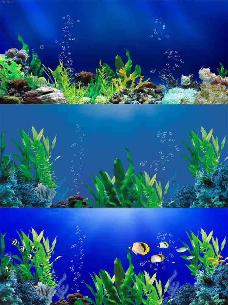 鱼缸背景纸高清立体壁纸水族箱壁画造景装饰客厅背景纸自粘背贴