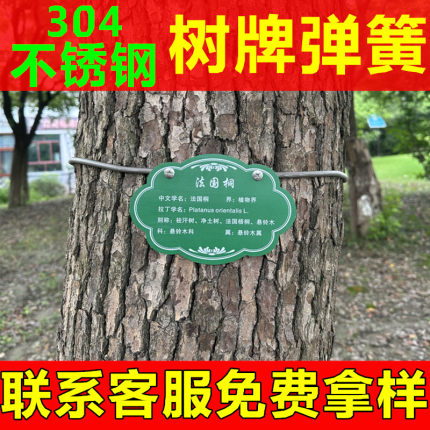 树牌弹簧 专用绑树拉簧304不锈钢不生锈可伸缩不伤树挂绳拉簧挂链