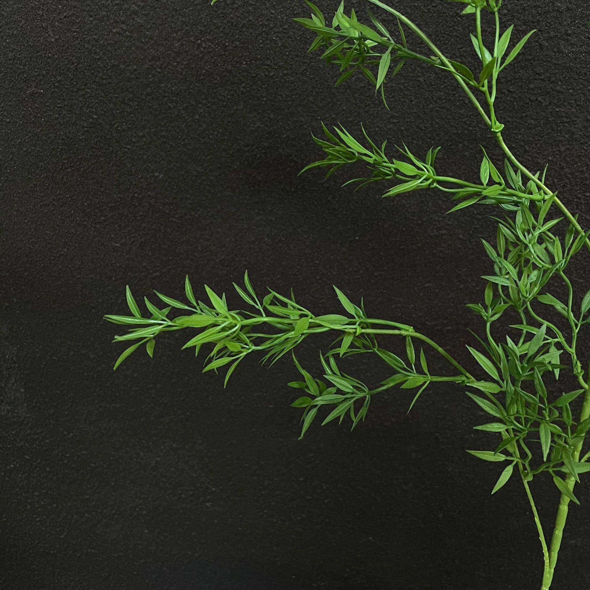 仿真绿植熊猫竹森系婚礼地排装饰绿叶橱窗造景打底叶材仿真熊猫竹,鲜花速递/花卉仿真/绿植园艺,仿真绿植,淘宝优惠券,粉丝福利购,淘宝优惠卷