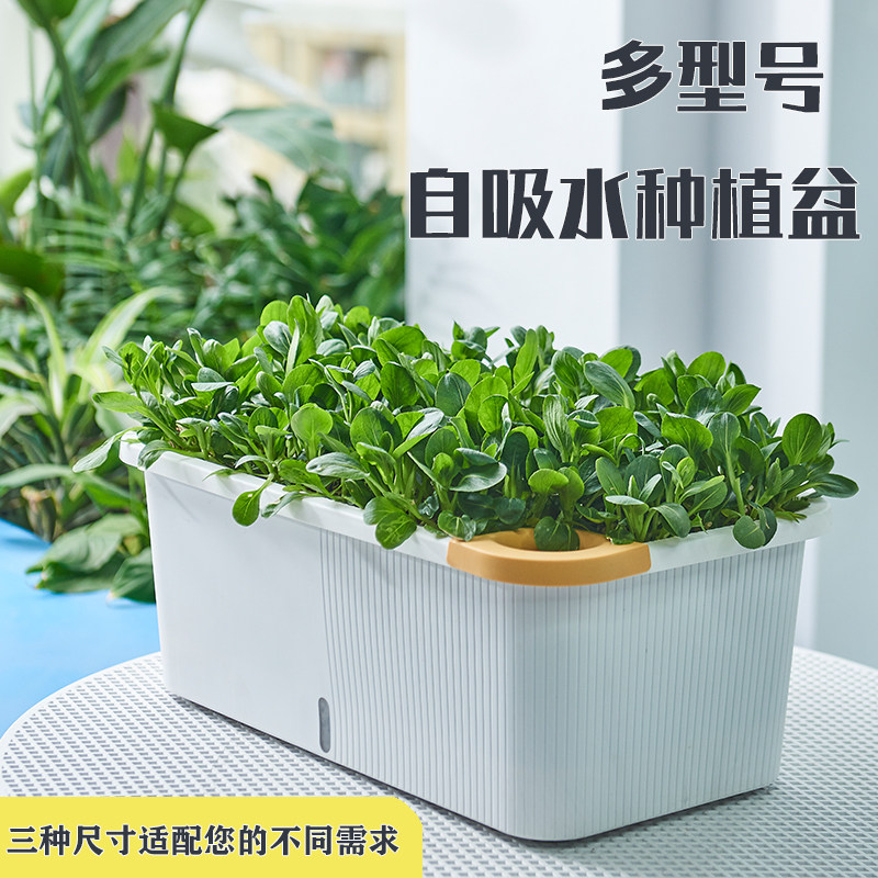 种菜盆种菜专用箱室内种植箱土豆蔬菜种植盆特大阳台自吸水花盆