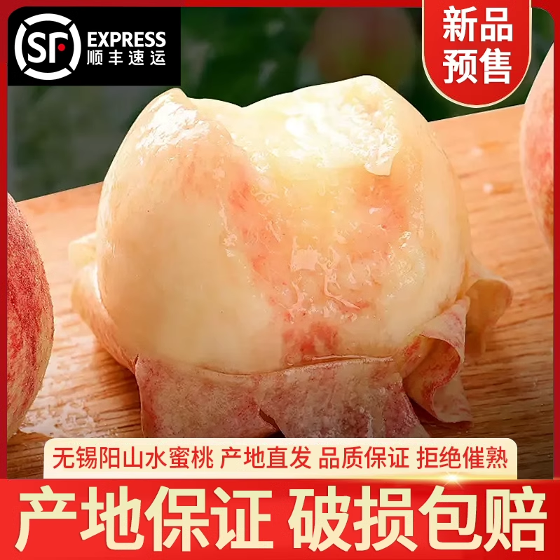 正宗无锡阳山水蜜桃白凤8两6只装江浙沪包邮