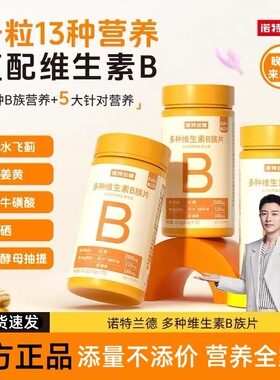 诺特兰德多种维生素B族片72粒儿童成人多种维生素官方正品