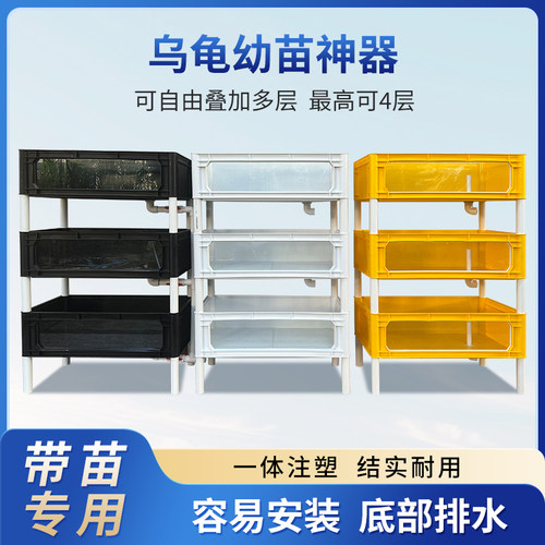 养殖龟缸轻体塑料龟苗用透明排缸