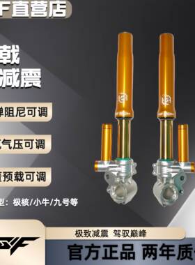 DSF品牌天戟系列倒置前减震全可调偏孔43芯46芯九号E300pFXT极核