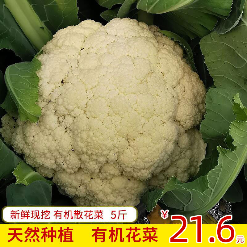有机菜花价格 有机菜花图片 星期三