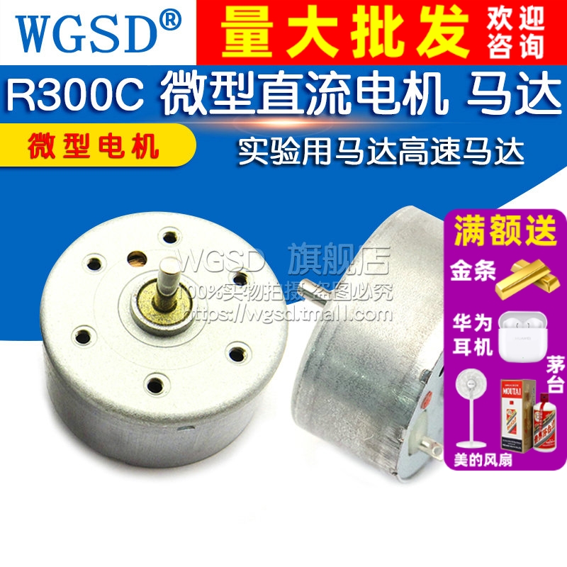 R300C 微型直流电机