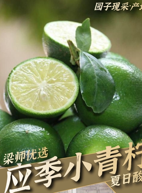 现摘青柠檬新鲜水果薄皮多汁青柠鲜果泡水（一级果3斤5斤装）