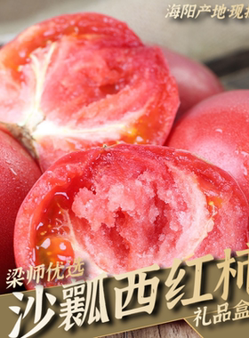 山东海阳普罗旺斯西红柿