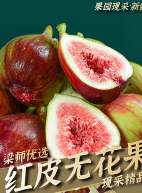 （果园现采）云南无花果鲜果新鲜青红紫皮3斤装（坏果包赔）