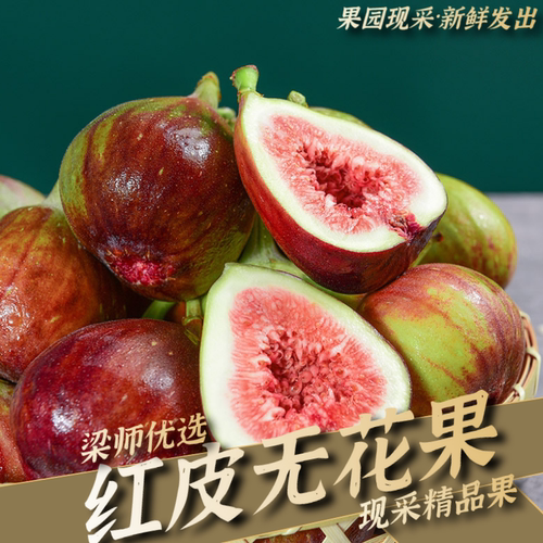 现摘顺丰送达云南无花果