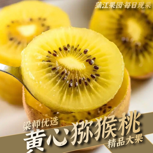 「产地直供」四川蒲江黄心猕猴桃奇异果4.5斤家庭装（坏果包赔）