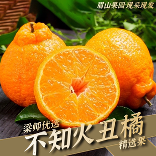 「产地现采」四川眉山丑橘不知火精选大果应季水果（坏果包赔）