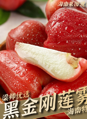 「现采」海南新鲜黑金刚莲雾水果热带应季精品果（坏果包赔）