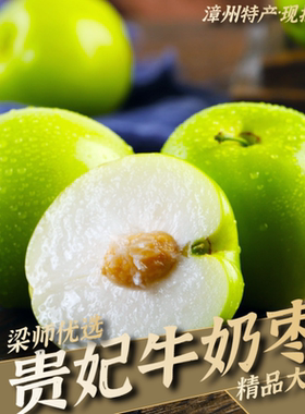 「产地直发」漳州贵妃枣牛奶枣大青枣新鲜脆甜（3斤5斤精品果）