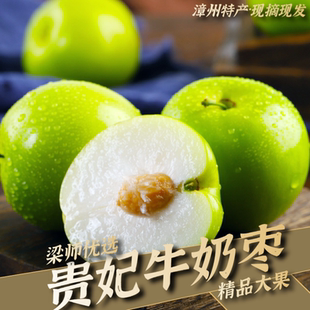 「产地直发」漳州贵妃枣牛奶枣大青枣新鲜脆甜（3斤5斤精品果）