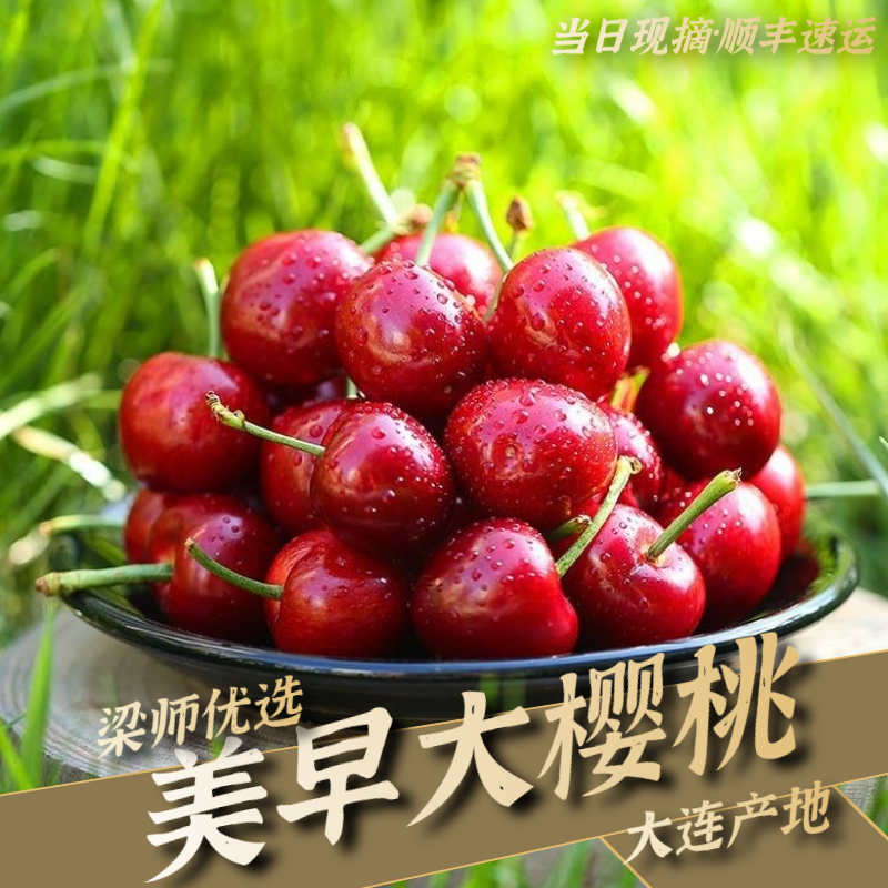 大连美早现采大樱桃2J3J大果车厘子2斤装（顺丰空运）