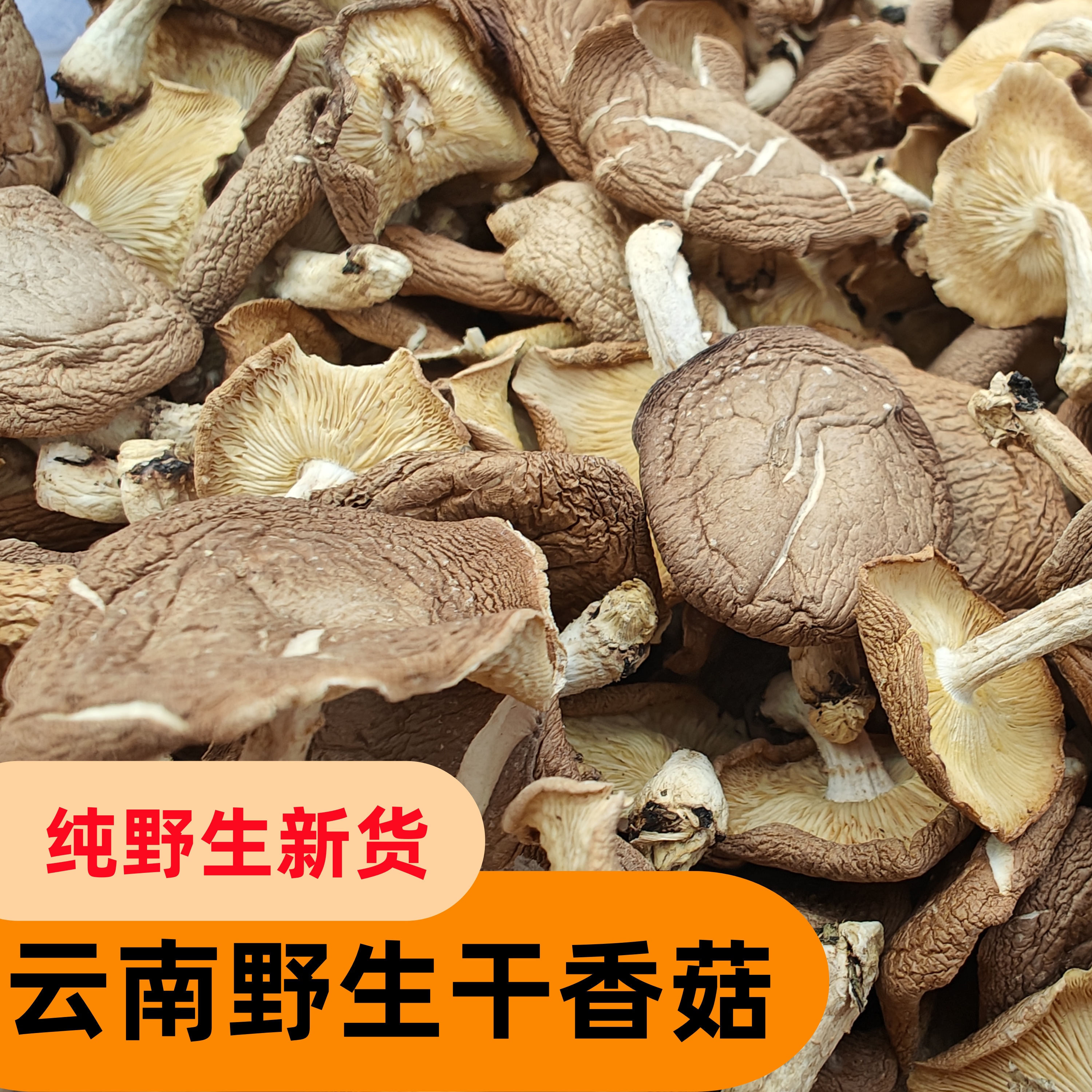 新货云南特产深山纯野生小香菇干货香菌农家蘑菇香信煲汤食材菌类