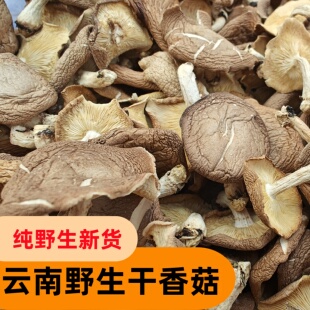 新货云南特产深山纯野生小香菇干货香菌农家蘑菇香信煲汤食材菌类