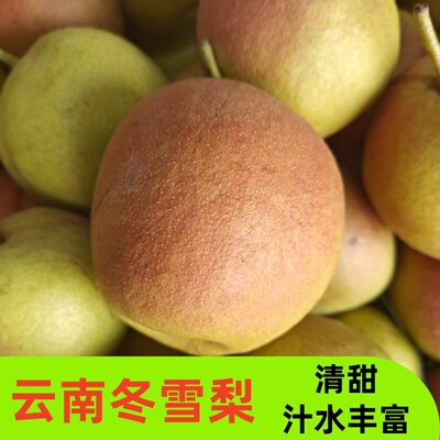 大理高原冬雪梨汁水丰富原生态